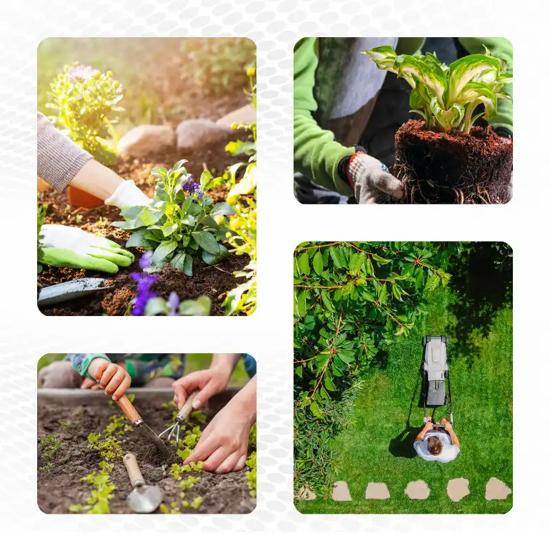 Quality Landscaping Service Quality Landscaping Service