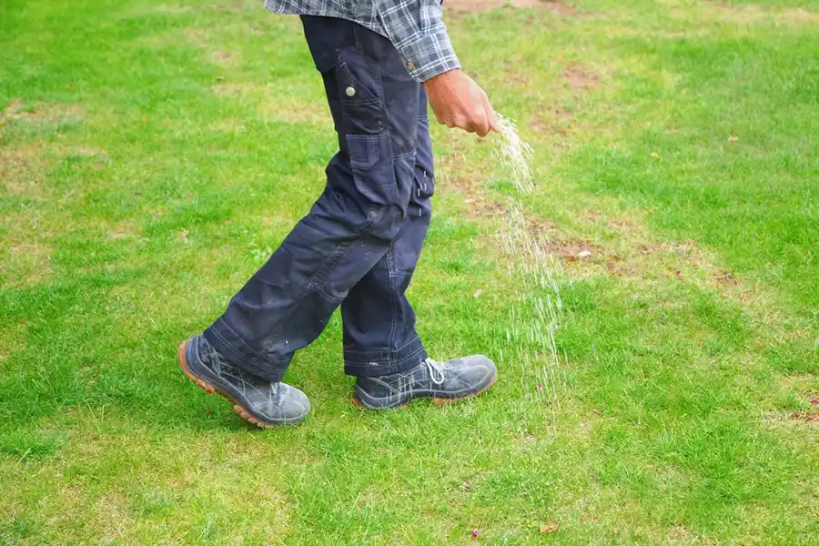 Reliable Landscape Maintenance Landscape Maintenance