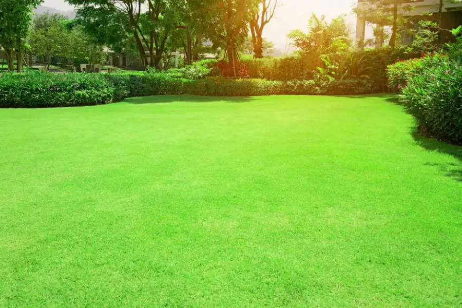 How Consistent Landscape Maintenance Improves Property Aesthetics Smiths Station AL
