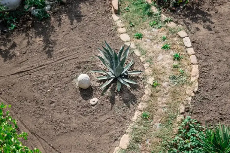 Key Considerations Before Starting Your Landscape Installation Smiths Station AL