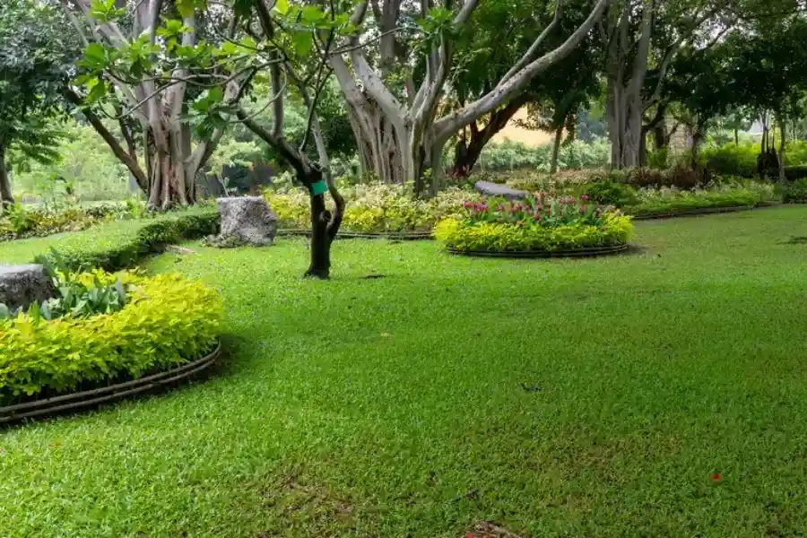 Premium Landscape Maintenance Smiths Station AL