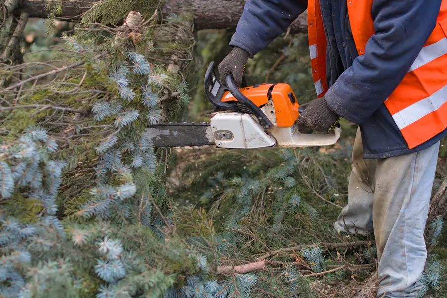 Quality Tree Removal Smiths Station AL