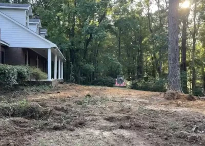 Renowned Landscaping Services and Tree Company