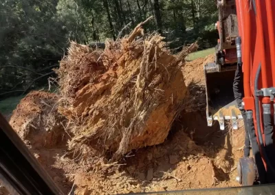 Stump Removal and Landscaping Services