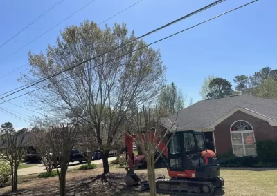 Trusted Tree and Landscaping Services